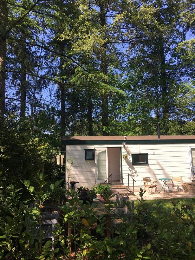 Sfeervol Vakantiehuisje In Bosrijke Omgeving Форден Екстериор снимка